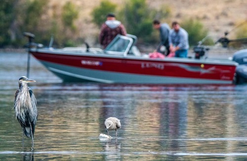 Sabula Boat Rental | Floating Cottage on the River Nantucket