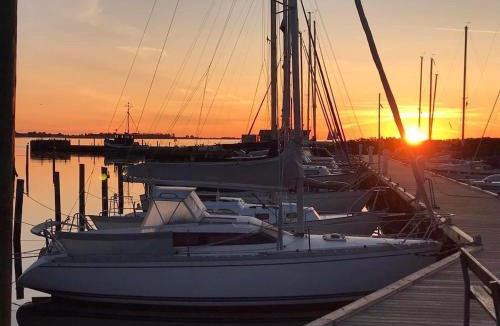 Kragenæs Boat Rental | Floating freedom by the Dodekalitten