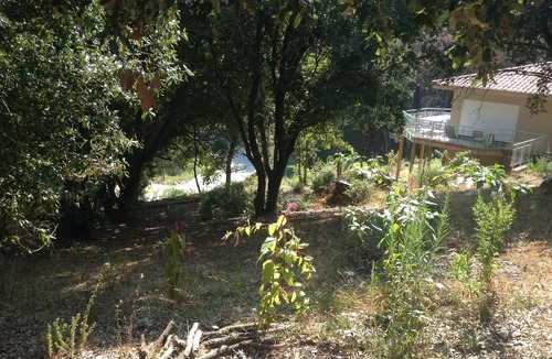 Belvedere-Campomoro House | FLOOR Villa with 2 independent floors