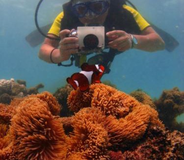 Pulau Perhentian Besar Resort | Flora Bay 1