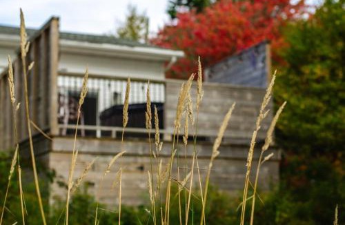 Erbs Cove House | Flora Studio on the Lake