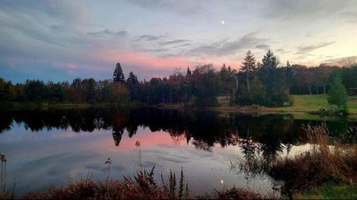 Erbs Cove House | Flora Studio on the Lake