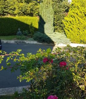 Saint-Paul House | Floralie