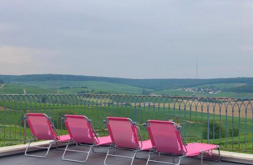 Fleury-la-Riviere House | FLORESSENS EN CHAMPAGNE Terrasse privative sur le vignoble