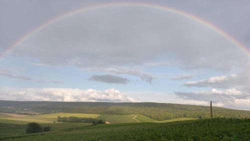 Fleury-la-Riviere House | FLORESSENS EN CHAMPAGNE Terrasse privative sur le vignoble
