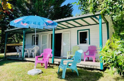 Camon Other | Flower Camping La Pibola