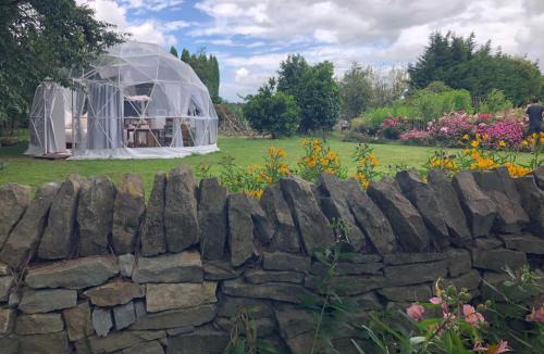 Tamahere Other | Flowerhaven - glamping dome