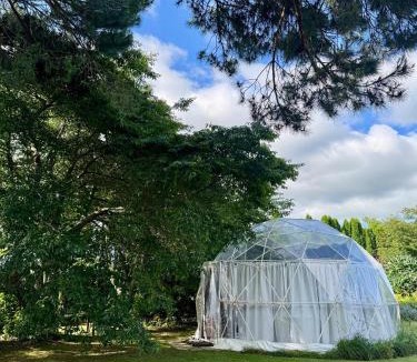 Tamahere Other | Flowerhaven - glamping dome
