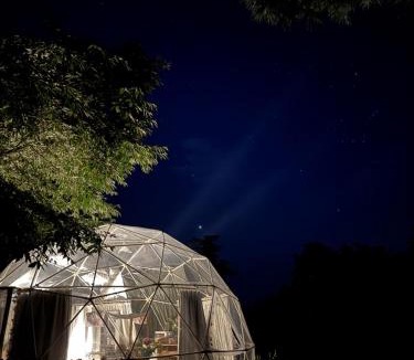 Tamahere Other | Flowerhaven - glamping dome