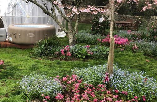 Tamahere Other | Flowerhaven - glamping dome