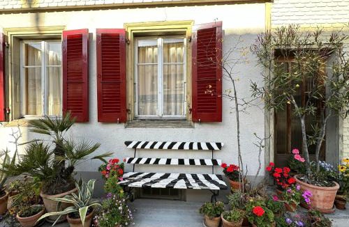 Unterseen Apartment | Flowerpot Apartment