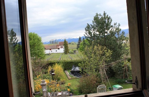 Les Marches House | FLOWERS AND VINES - LES MARCHES