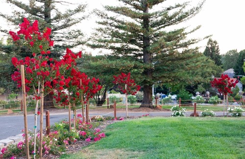 Folsom House | Folsom Lake House