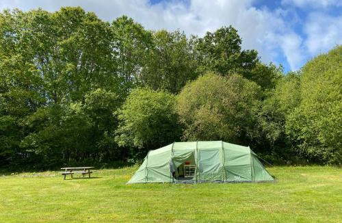 Blond Other | Fonclaire Holidays Carpers Rest