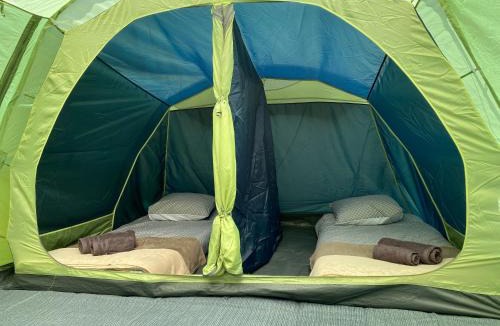 Blond Other | Fonclaire Holidays Carpers Rest