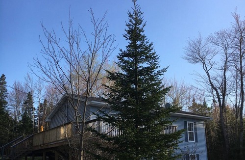 Cumberland County Cottage | For all ages to be together but have lots of space and fun!