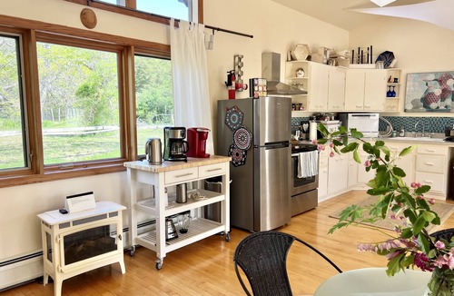 Ulster Park House | for the creative spirit, swimming dock on pond, horses to pet, Fire pit