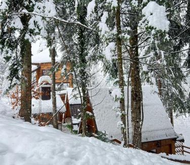Vrbovsko Ski Chalet | Forest Amerika-Bungalovi Milica