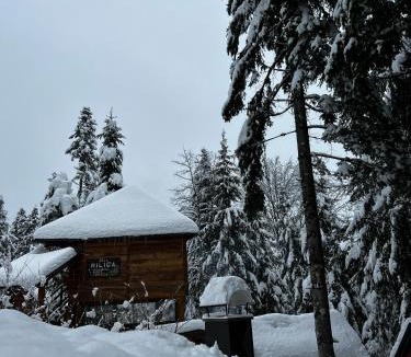 Vrbovsko Ski Chalet | Forest Amerika-Bungalovi Milica