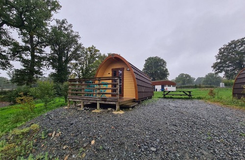 Pouligny-Notre-Dame House | Forest cabin in Berry with terrace