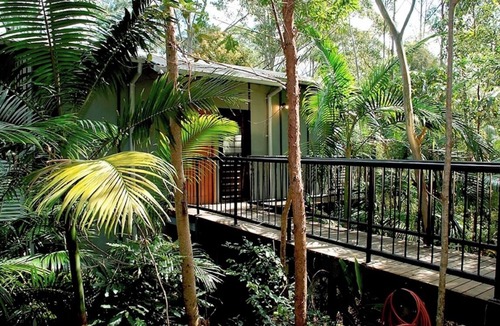 Smiths Creek Ski Chalet | Forest Chalet – Nature Therapy Sanctuary