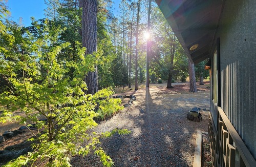 Grass Valley Cabin | Forest Cottage Retreat