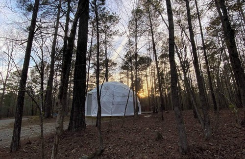 Eatonton RV Rental | Forest Dome Near Lake Oconee | Artistic Design