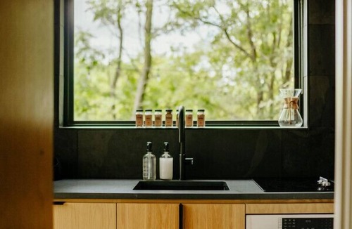 Lacy-Lakeview Cabin | Forest Edge at Live Oak Lake | Modern Cabin