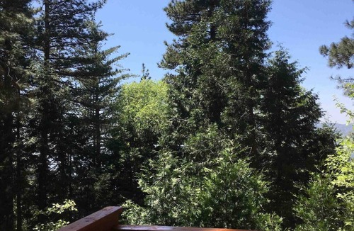 Running Springs Cabin | Forest-Edge Mtn Escape Views SkyPark Nearby