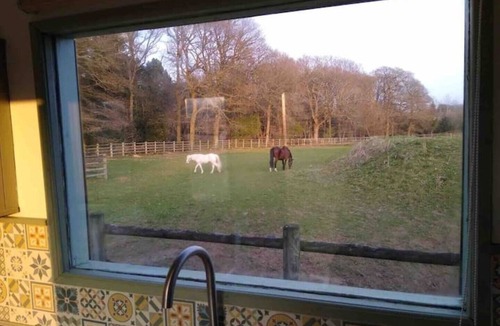 Rock Cabin | Forest & Farm - Luxury Shepherd’s Hut