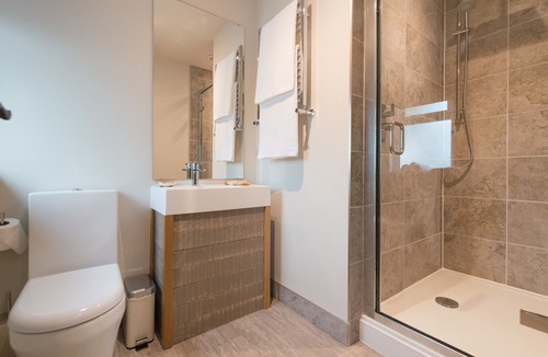 Fence Hotel | Forest