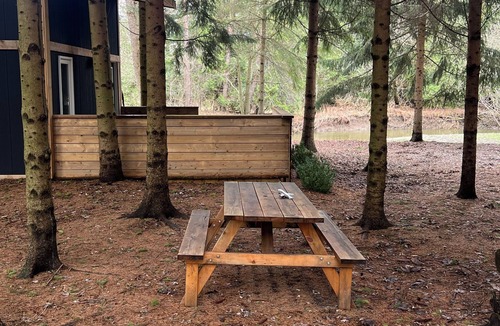 New Tecumseth Cabin | Forest Getaway