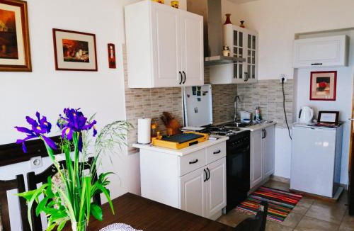Krizisce Apartment | FoREST Heritage Apartment