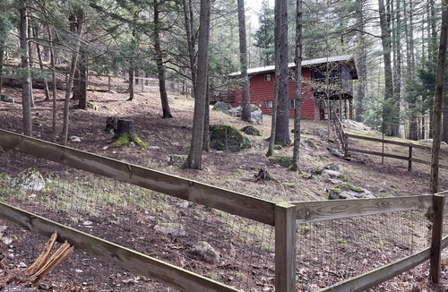 Keene House | Forest Hideaway