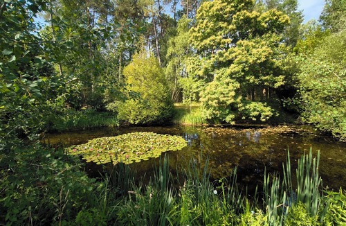 Parigne-lʼEveque House | Forest house