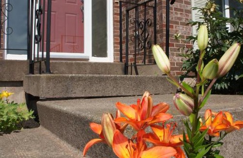 Charlottetown House | Forest hut