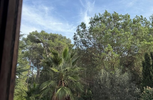 Dosrius Apartment | Forest retreat, close to Barcelona and Beaches