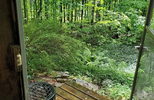 South Bruce Peninsula Apartment | Forest Retreat - Private detached guest suite with Starlink WiFi