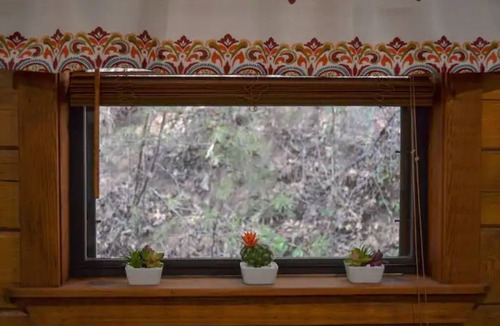 Murphy House | Forest Therapy - Exactly What You're Looking For!