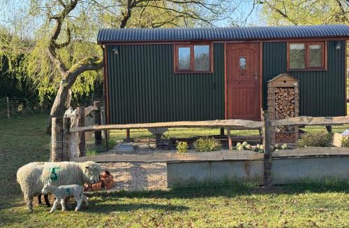 Ewhurst Apartment | Forest view shepherds hut Hare hut