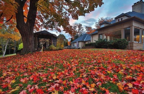 King Villa | Forest Villa for Large Group with Outdoor Pool and indoor Swim Spa-Pet friendly