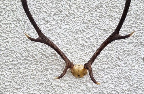 Ardvasar Cottage | Foresters Cottage -private garden