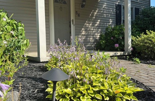 Rochester House | Forever Wild and Spacious 4BR House in Penfield
