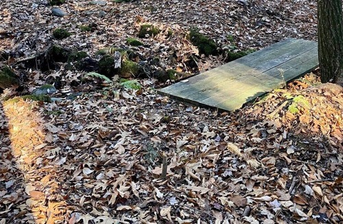 Middle Grove Apartment | former summer camp/3 cabins/glamping tents/60acres