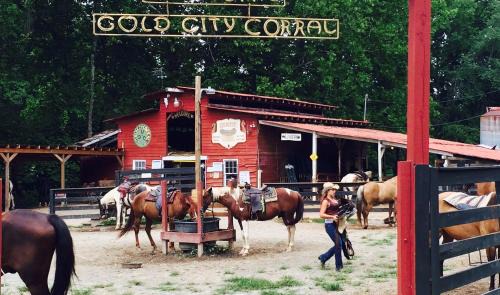 Dahlonega Resort | Forrest Hills Mountain Resort