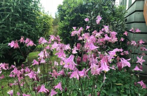 Forrest Apartment | Forrest River Valley