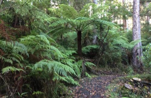 Forrest Apartment | Forrest River Valley