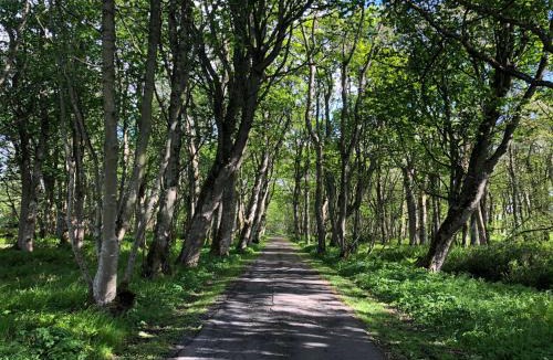 Latheron House | Forse of Nature