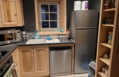 Messeix House | Forsythias