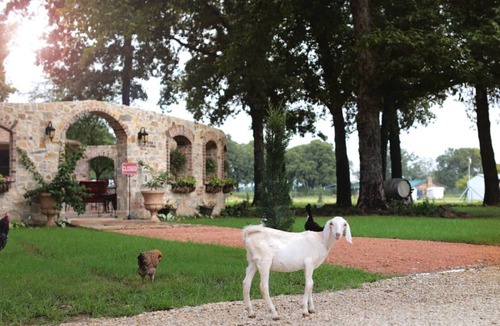 Lincoln Park Villa | Fortunata Winery Villa #5, Elegant Stay for 4